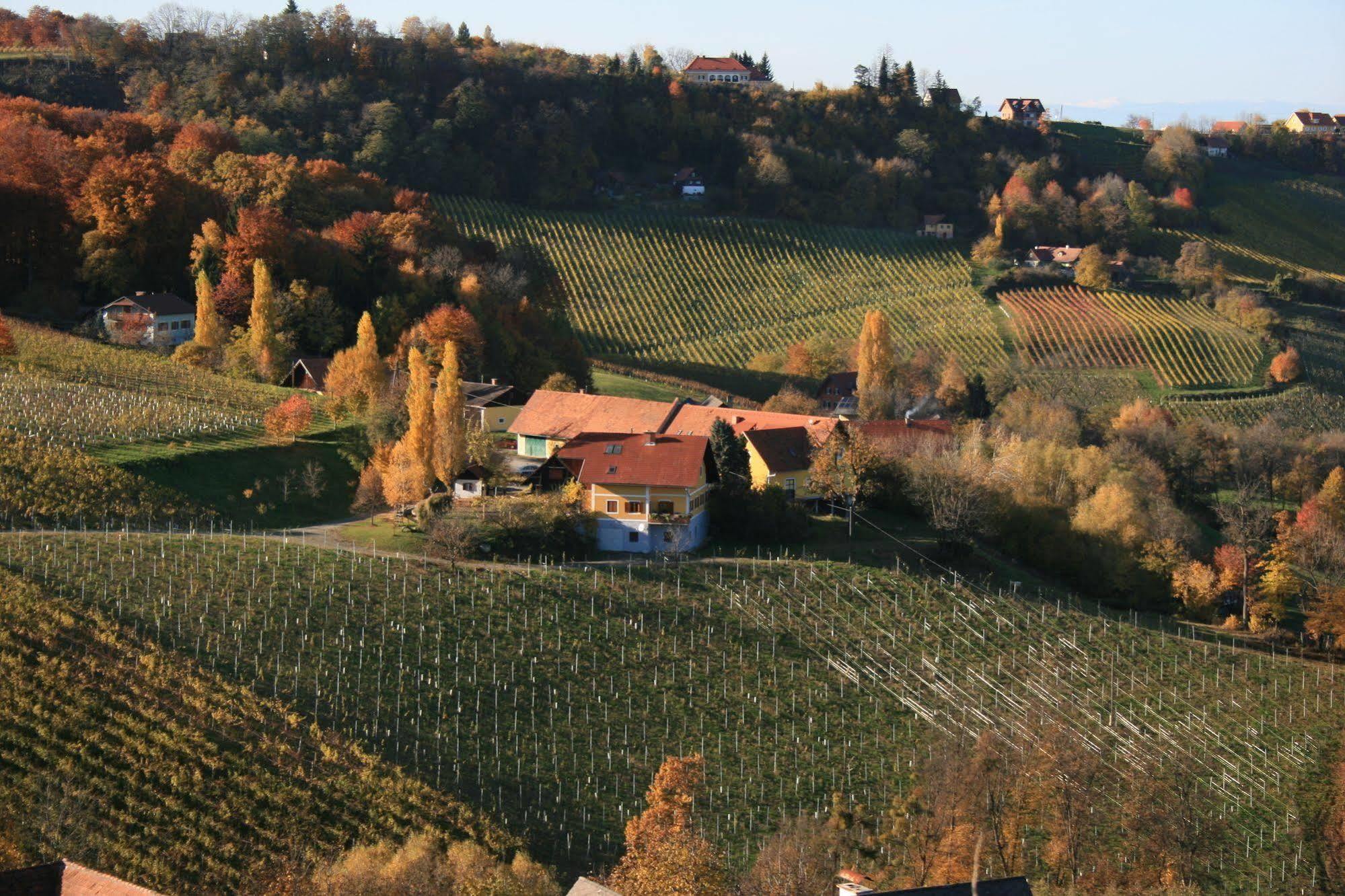 Weingut Primus Suedsteiermark 스피에펠트 외부 사진