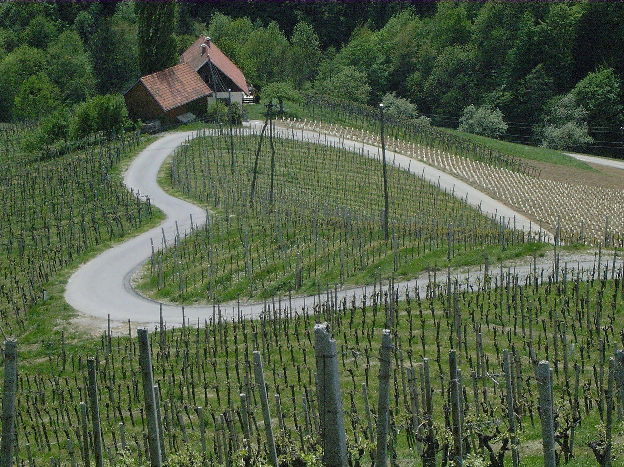 Weingut Primus Suedsteiermark 스피에펠트 외부 사진