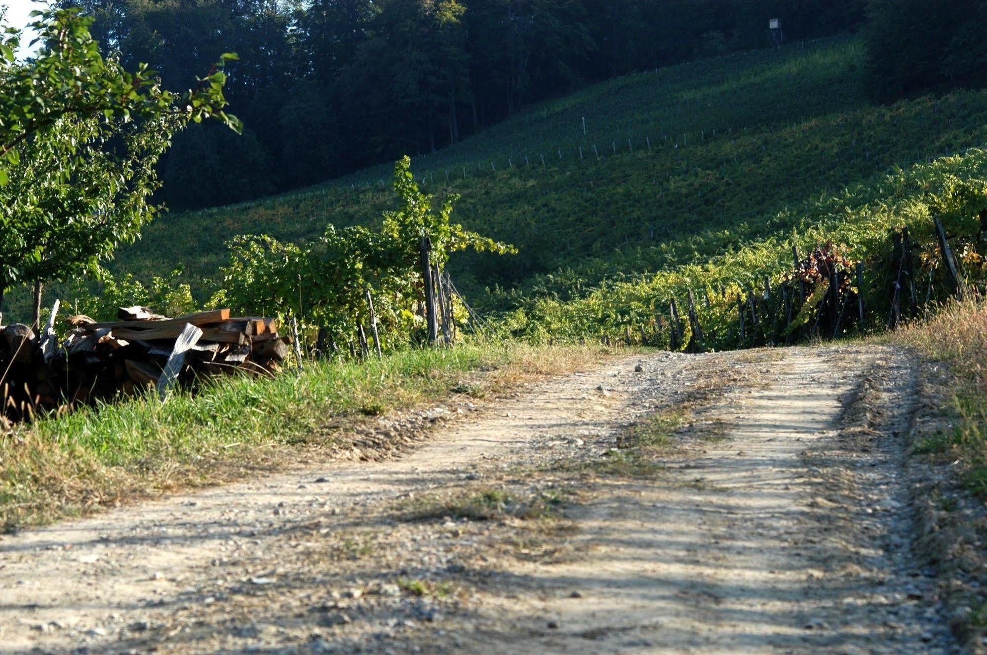 Weingut Primus Suedsteiermark 스피에펠트 외부 사진