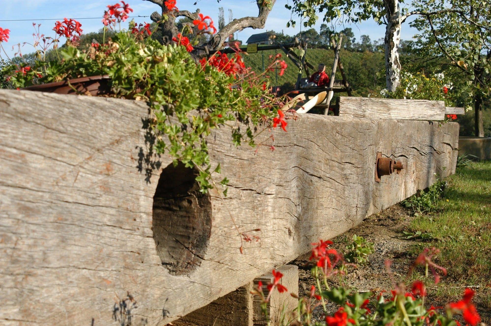 Weingut Primus Suedsteiermark 스피에펠트 외부 사진