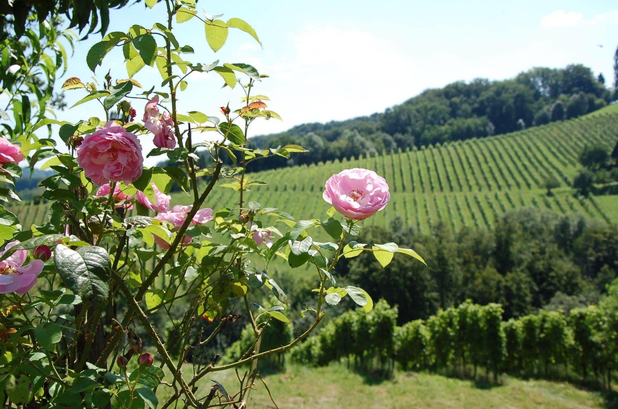 Weingut Primus Suedsteiermark 스피에펠트 외부 사진